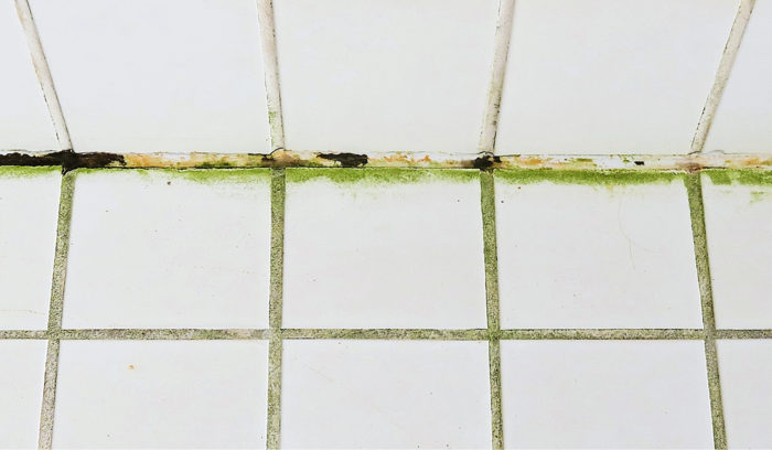 Kuva 1. Mikrobi­kasvustoa silikoni­saumassa sekä lattialaatan pinnalla.