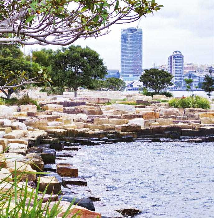 Kuuden hehtaarin kokoinen Barangaroo Reserve -puisto sijaitsee niemenkärjessä. Sen viivasuora betoniranta on muokattu uuteen uskoon käyttäen paikan päältä louhittua hiekkakiveä. Sydneyn maaperä on hiekkakiveä, joka soveltuu hyvin kaupunkirakentamiseen. Hiekkakivi on myös kaunis ja käytännöllinen elementti viherraken­tamisessa.