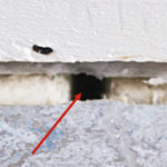 Kuva 2. Lattian ja seinän rajakohdassa sokkelin sisäpuolisen eristeen (styrox) saumarako (punainen nuoli). Saumarako on suoraan yhteydessä lattian alus­maahan.